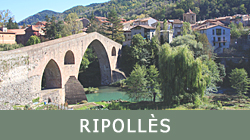 Ripollès